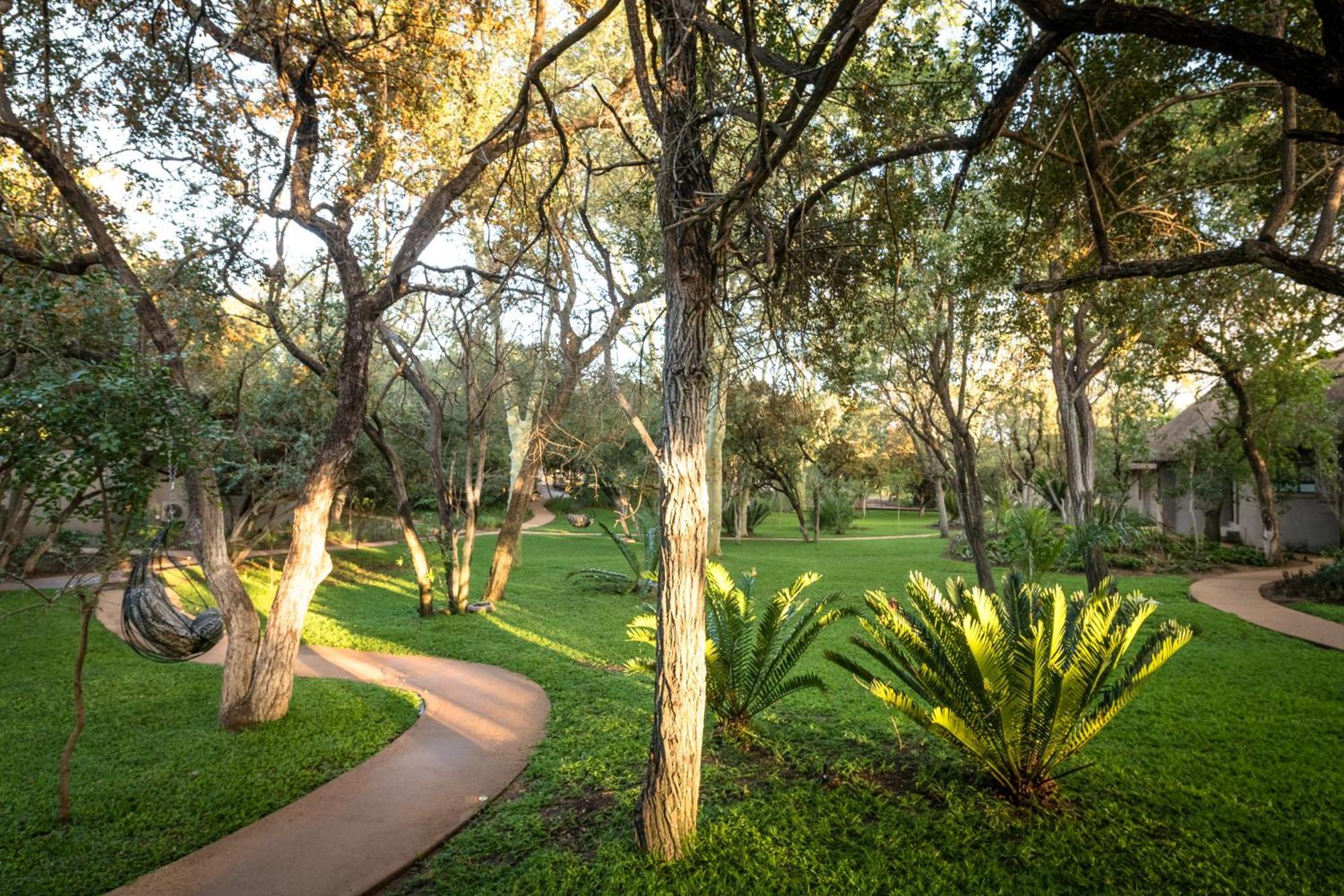 Serondella Safari Lodge Wildreservat Thornybush Exterior foto