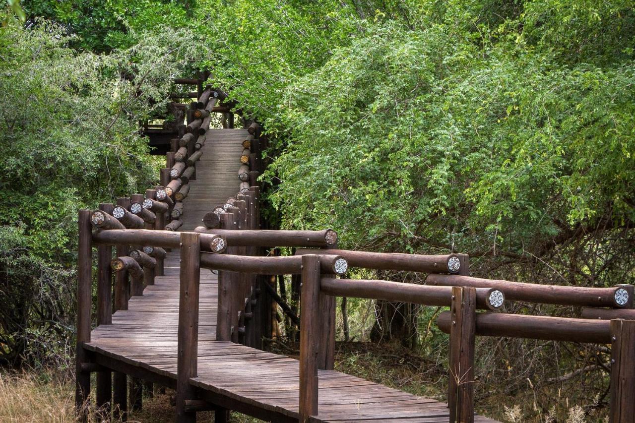 Serondella Safari Lodge Wildreservat Thornybush Exterior foto